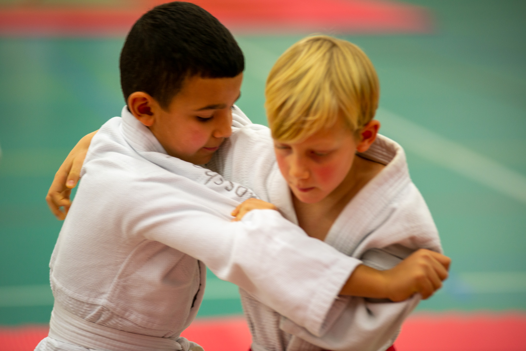 Judoschool van der Hoek