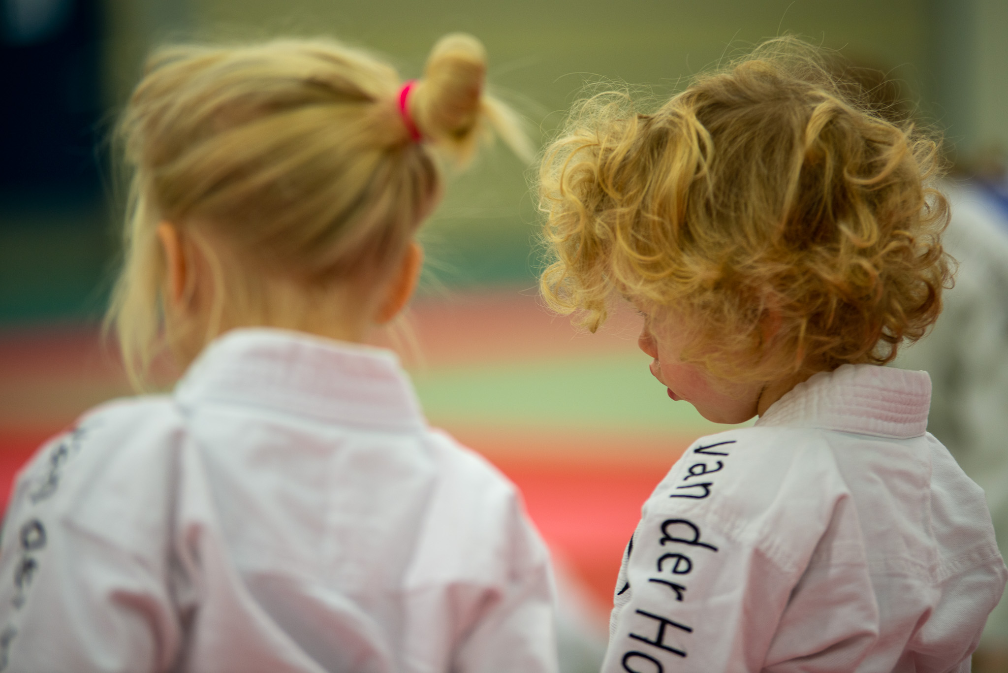 Judoschool van der Hoek