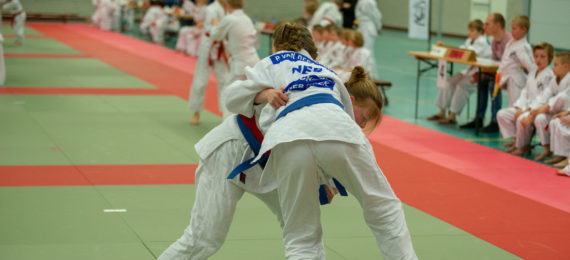 Wedstrijdjudo.2