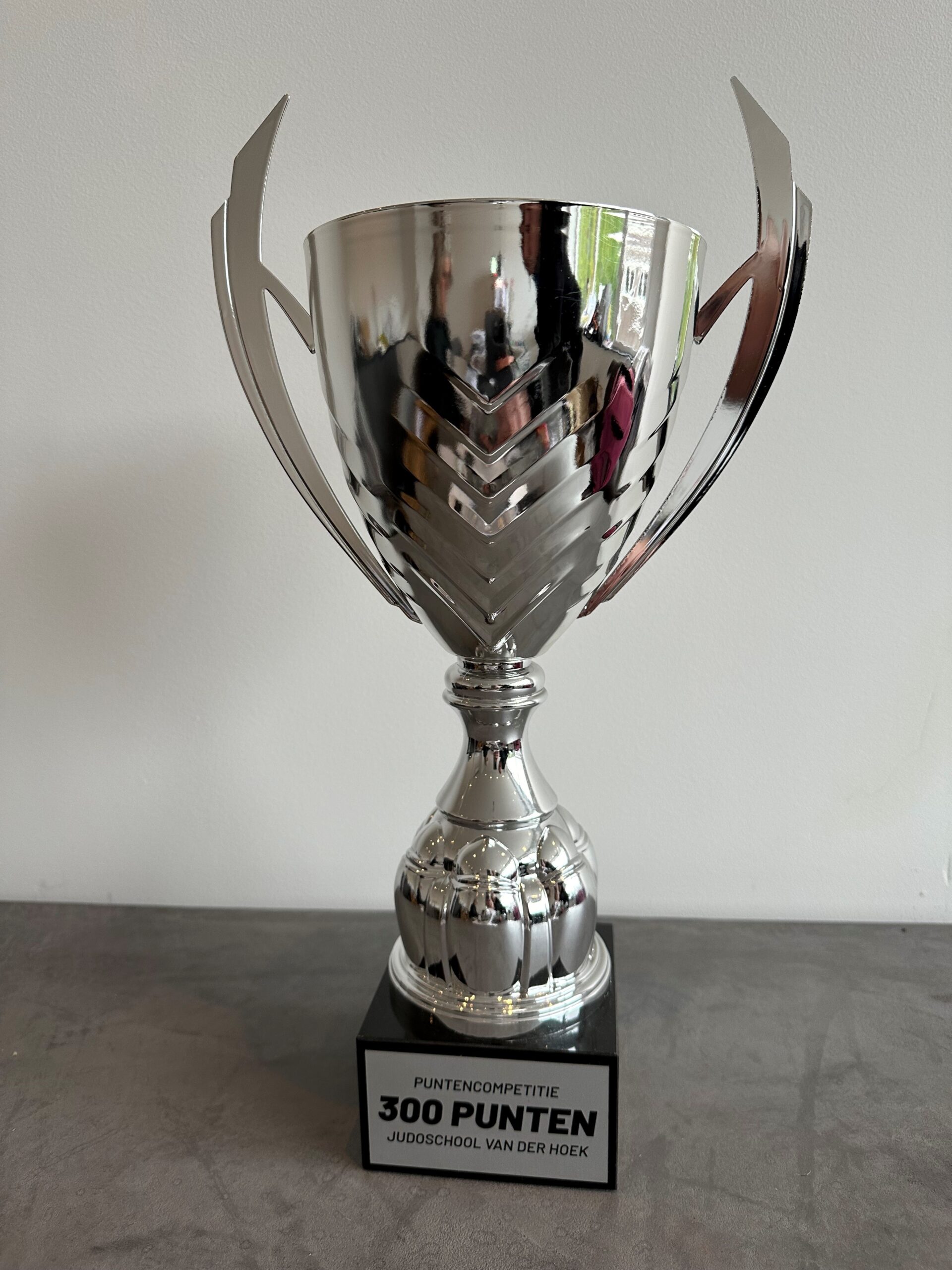 Judoschool van der Hoek