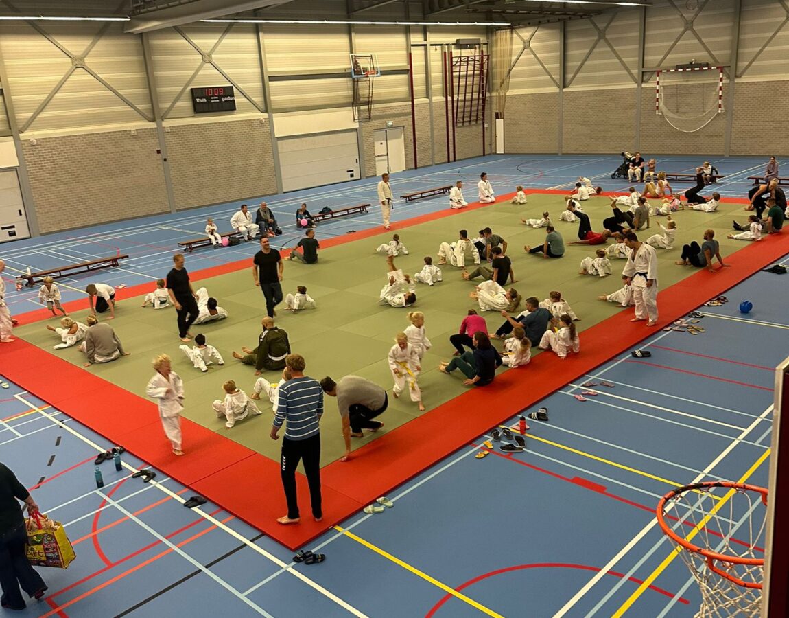 mini en maxidag